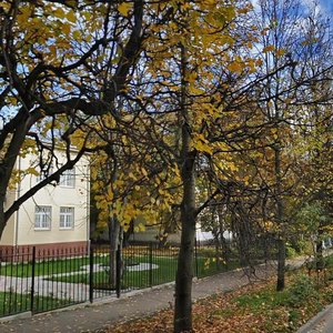 Mikhaylovskaya Street, 49, Vladimir: photo