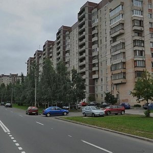 Kamyshovaya Street, 32к1, Saint Petersburg: photo