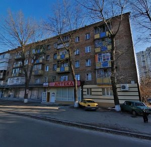 Parkovo-Syretska Street, 11, Kyiv: photo