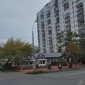 Cheliabinska Street, 15А, Kyiv: photo