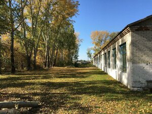 Курганская область, Центральная улица, 20: фото