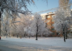 Metrolohichna Street, 14, Kyiv: photo