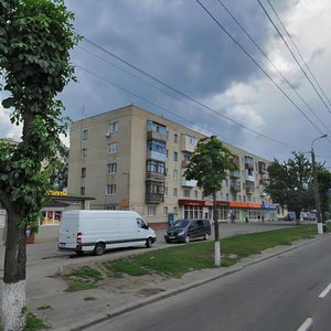 Kyivska vulytsia, 110, Vinnytsia: photo