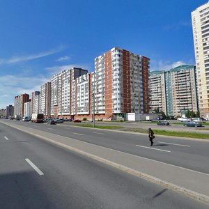 Санкт‑Петербург, Богатырский проспект, 51к1: фото