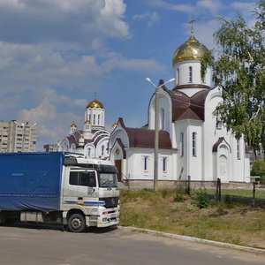 Vladimira Nevskogo Street, 48/1к3, Voronezh: photo