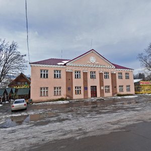 Vulytsia Myru, 14, Zakarpattia District: photo