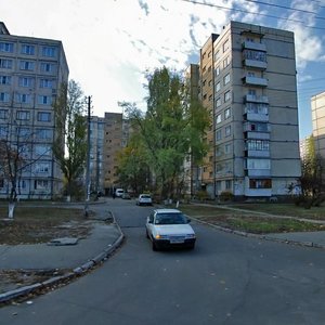 Ozerna Street, 14, Kyiv: photo