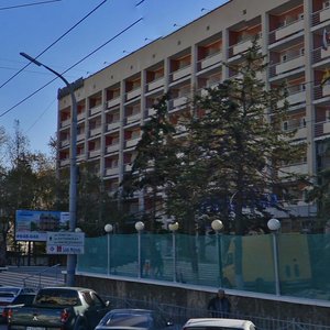 Anapskoye Highway, 18, : foto