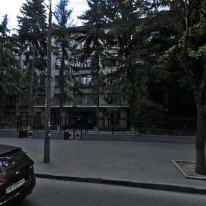 Kniazia Volodymyra Velykoho Street, 28, Dnipro: photo