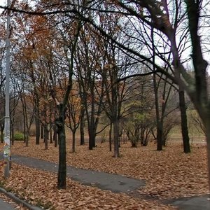 Henerala Henadіia Vorobiova Street, 22, Kyiv: photo
