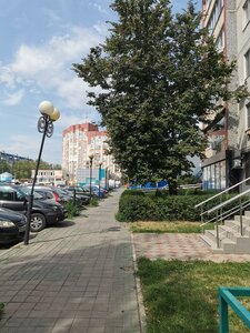 Studencheskaya Street, 20, Kursk: photo