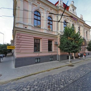 Vulytsia Mitskevycha, 2, Chernivtsi: photo