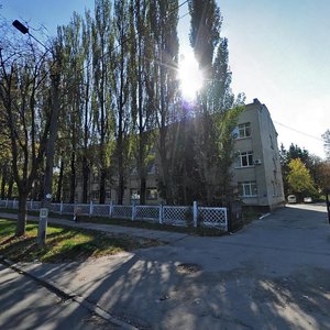 Pryladnyi Lane, 2А, Kyiv: photo