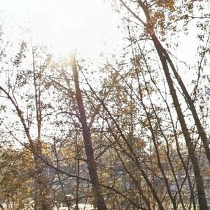 Polyarnaya ulitsa, 77, : foto