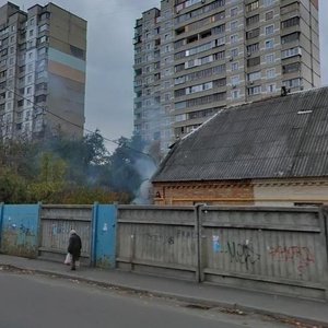 Avtozavodska Street, 73, Kyiv: photo