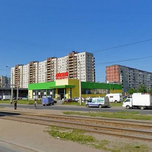 Nastavnikov Avenue, 33к1, Saint Petersburg: photo