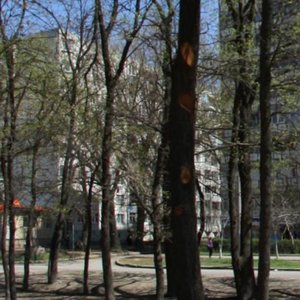 Ростов‑на‑Дону, Улица Зорге, 60: фото