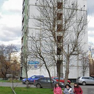 Москва, Улица Лескова, 11А: фото