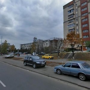 Symyrenka Street, 36кА, Kyiv: photo