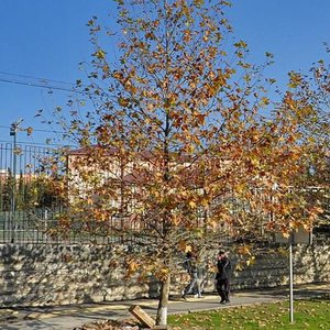 Lesnaya Street, 1, Sochi: photo