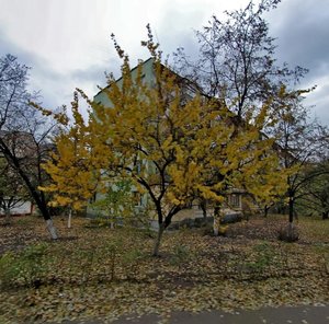 Киев, Улица Анатолия Соловьяненко, 13: фото