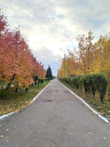 Ulitsa Zavertyayeva, 9к1, Omsk: photo
