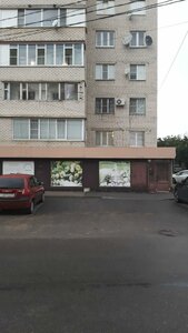 Ставрополь, Улица Куйбышева, 46А: фото