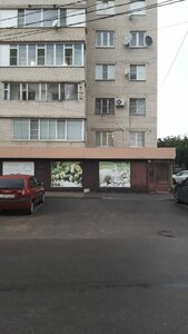Ставрополь, Улица Куйбышева, 46А: фото