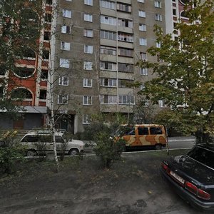 Stepana Oliinyka Street, 15, Kyiv: photo