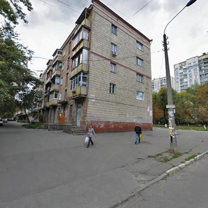 Киев, Вышгородская улица, 44: фото