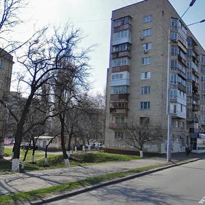 Borschahivska Street, 99, Kyiv: photo