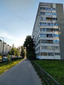 Sirenevy Boulevard, 8к1 ، سان بطرسبرغ: صورة