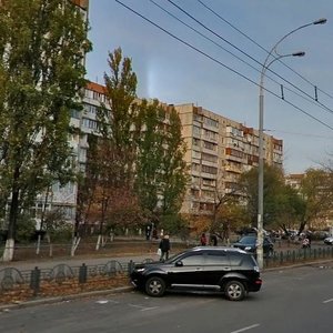 Heroiv Dnipra Street, 45, Kyiv: photo
