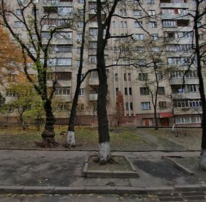 Predslavynska Street, 49, Kyiv: photo