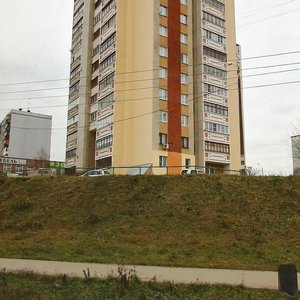 Germana Lopatina Street, 3к1, Nizhny Novgorod: photo