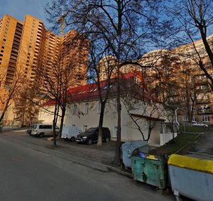 Vasylia Tiutiunnyka Street, 3, Kyiv: photo