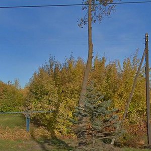Pobedy Avenue, 7А, Kursk: photo