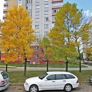Liashchynskaga Street, 39, Minsk: photo