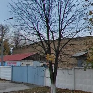 Volynska Street, 55, Kyiv: photo