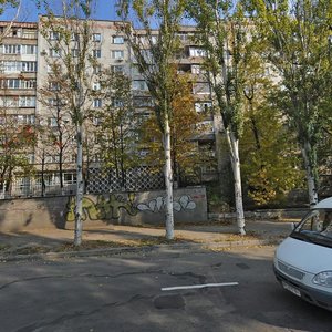 Vulytsia Hoholia, 100, Zaporizhia: photo