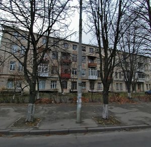 Povitroflotskyi Avenue, No:78, Kiev: Fotoğraflar