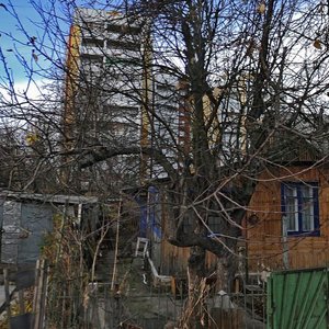 Veterinarnaya Street, 17, Ryazan: photo