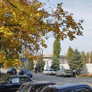 Vulytsia Zhukovskoho, 70А, Zaporizhia: photo