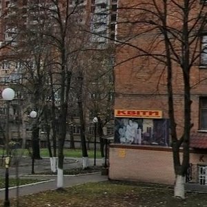 Киев, Улица Михаила Бойчука, 18А: фото