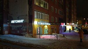 Turgeneva Street, 16, Perm: photo