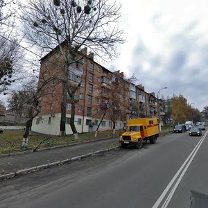 Marshala Rybalka Street, 7/18, Kyiv: photo