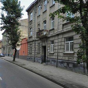 Vulytsia Kostiantyna Levytskoho, 70 ، لفيف: صورة