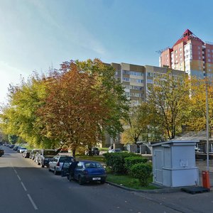 Staravilienskaja Street, 97, Minsk: photo