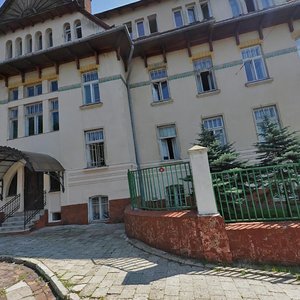 Lychakivska vulytsia, 107, Lviv: photo