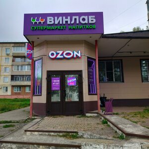 Ulitsa Lenina, 20А, Fokino: photo